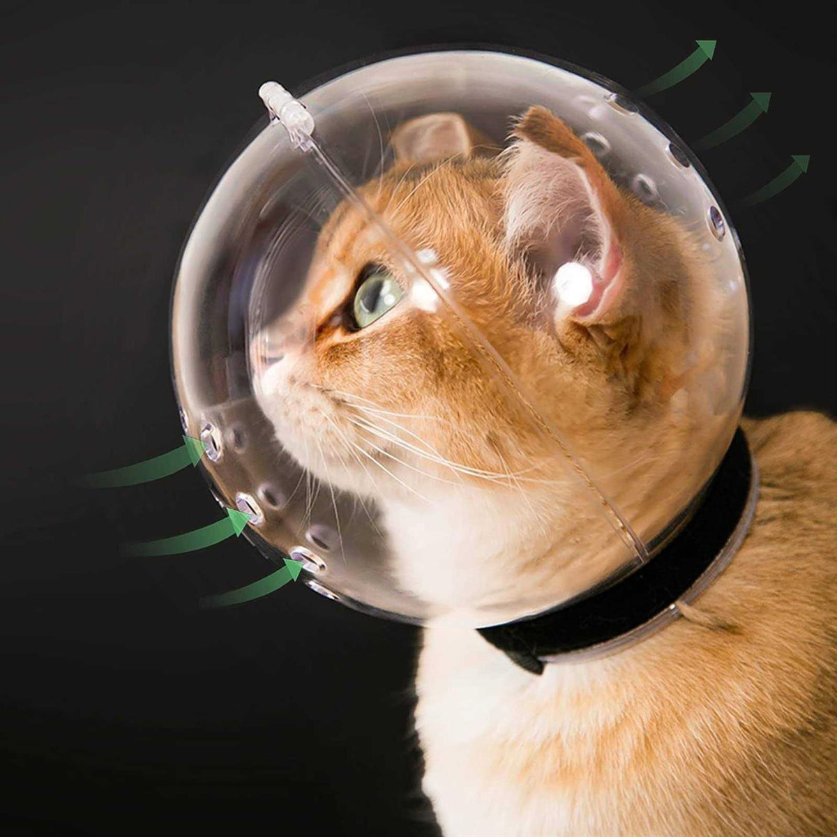 Transparent Breathable Cat Muzzle M Size P7030