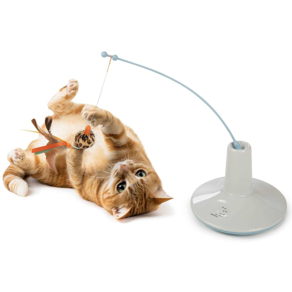 Cat Toy S63160