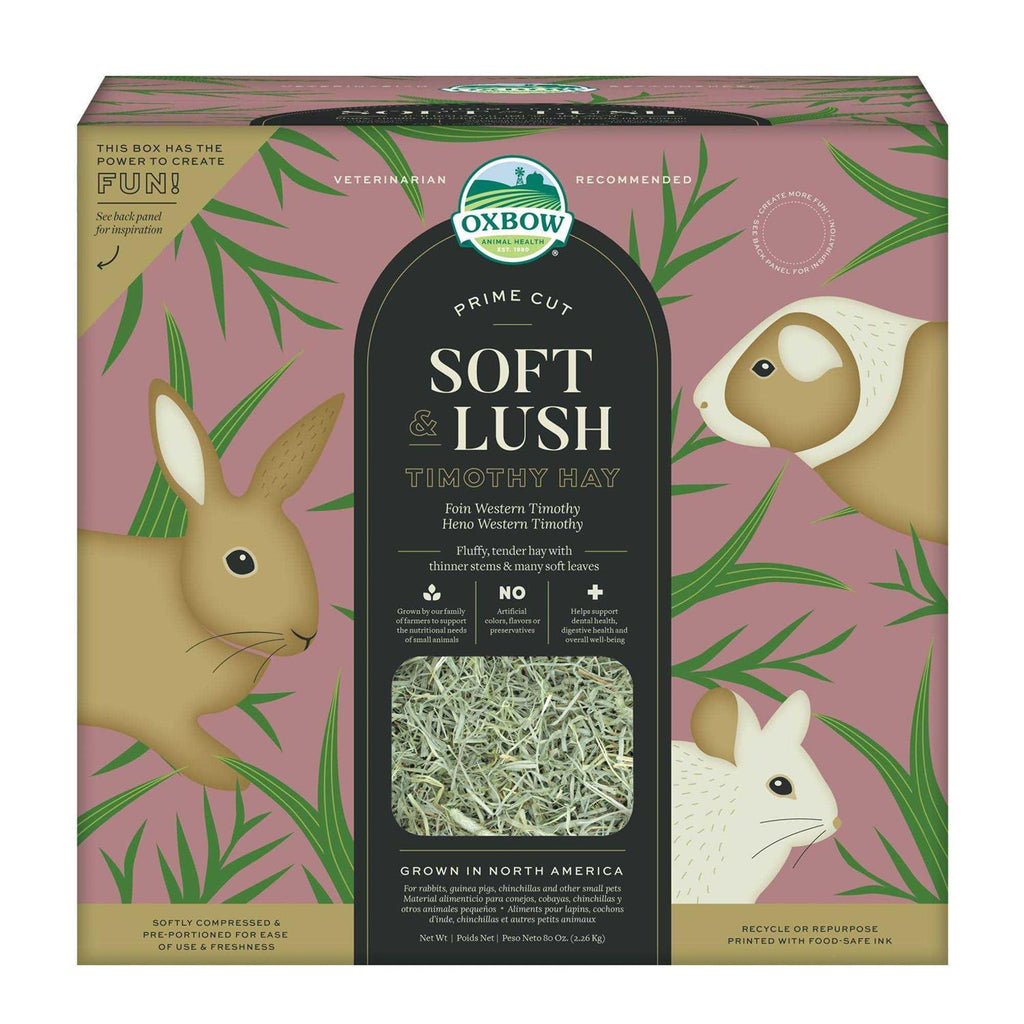 Timothy Hay Small Pet Food F193