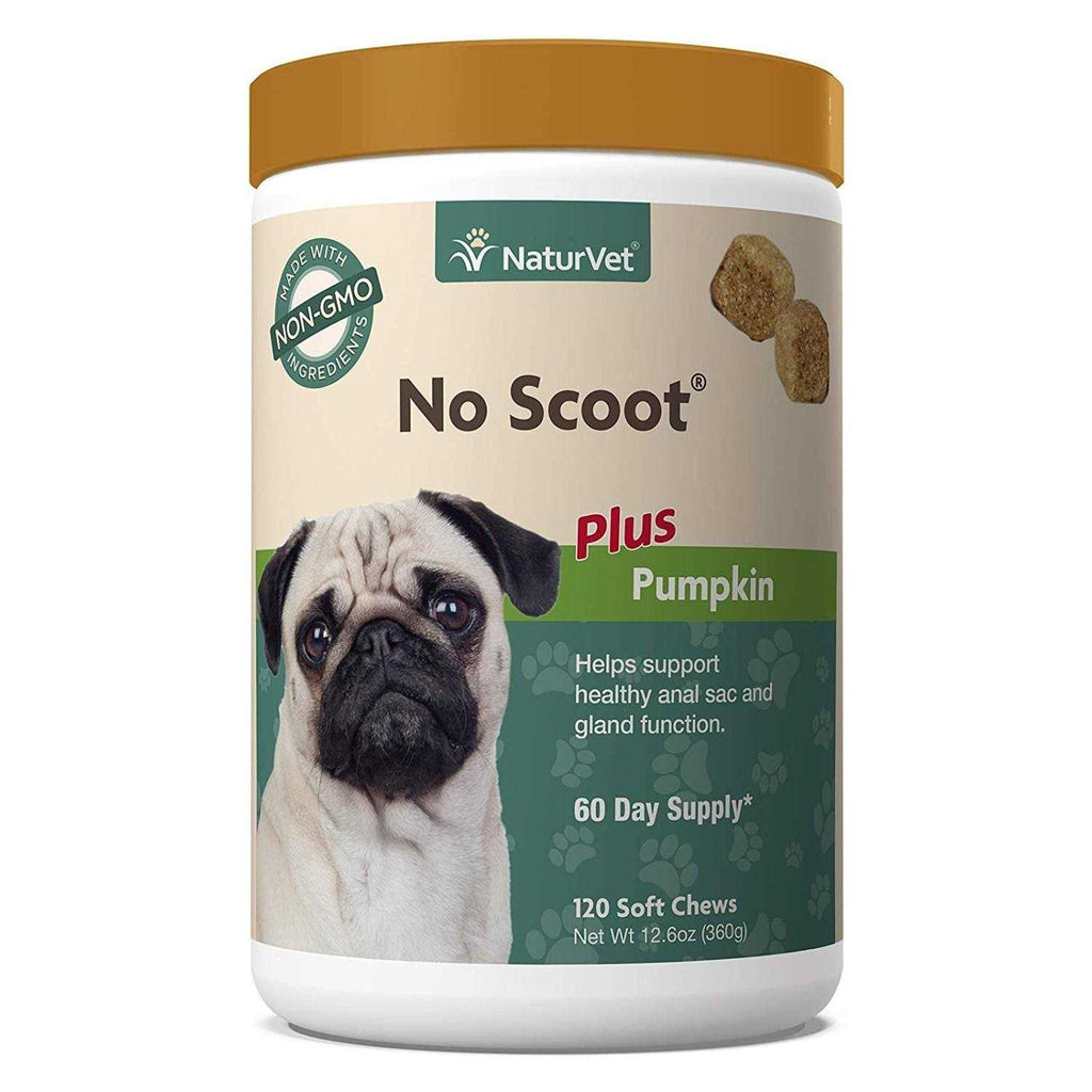No Scoot Plus Pumpkin for Dogs I21744
