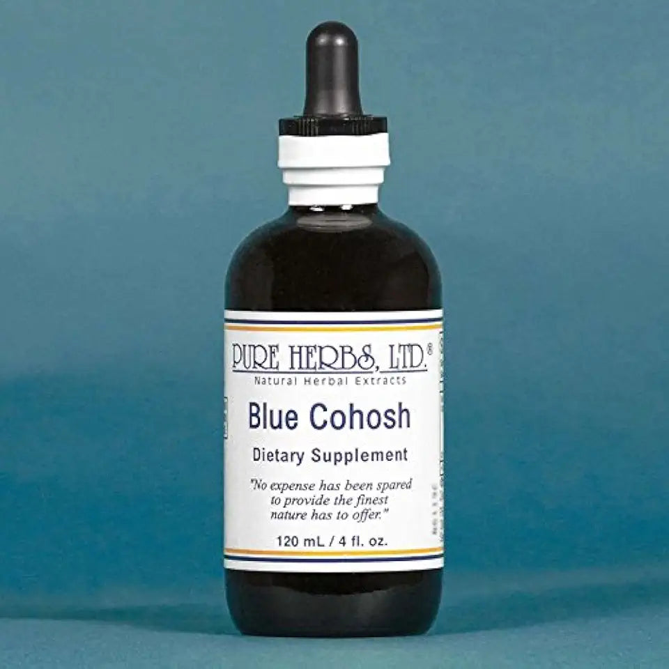 Blue Cohosh H288831