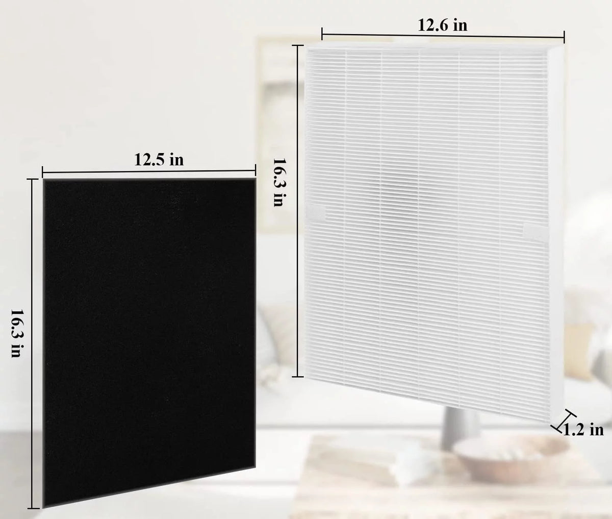 2 Pack Replacement True HEPA Size 21 Filters Plus 8 Carbon Pre-Filters W939701