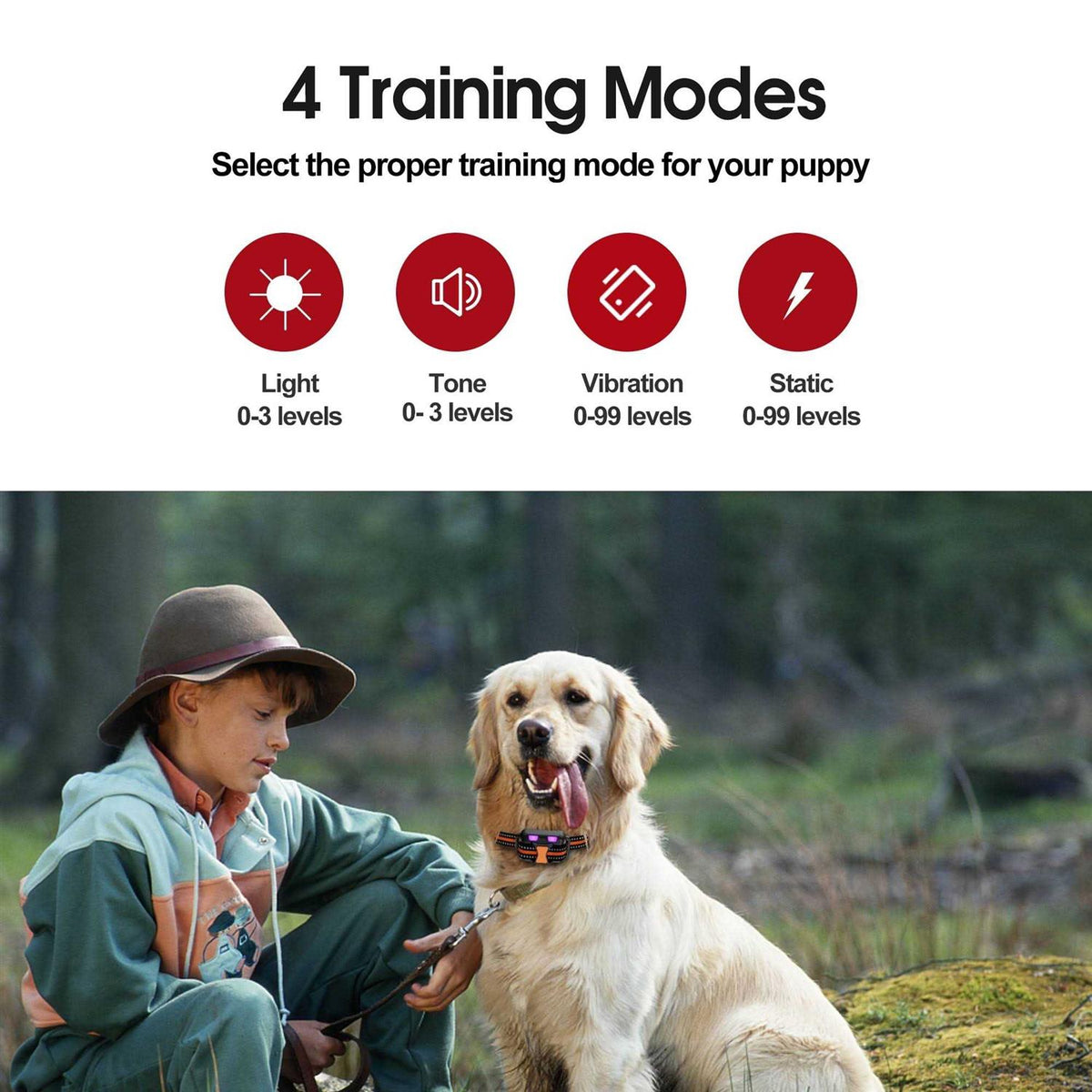 Remote Training Shock Dog Collar I668