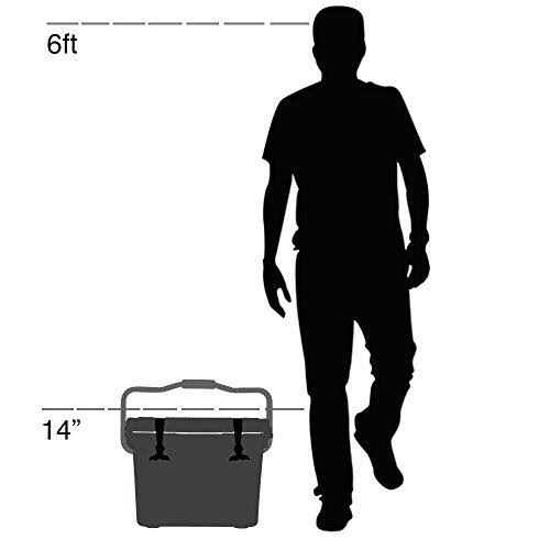 20-Quart Rotomold Cooler C240