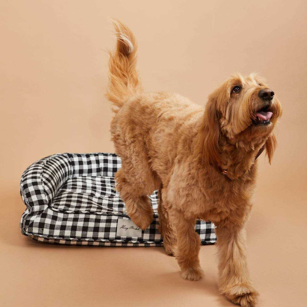 Buffalo Check Lounger Y39769