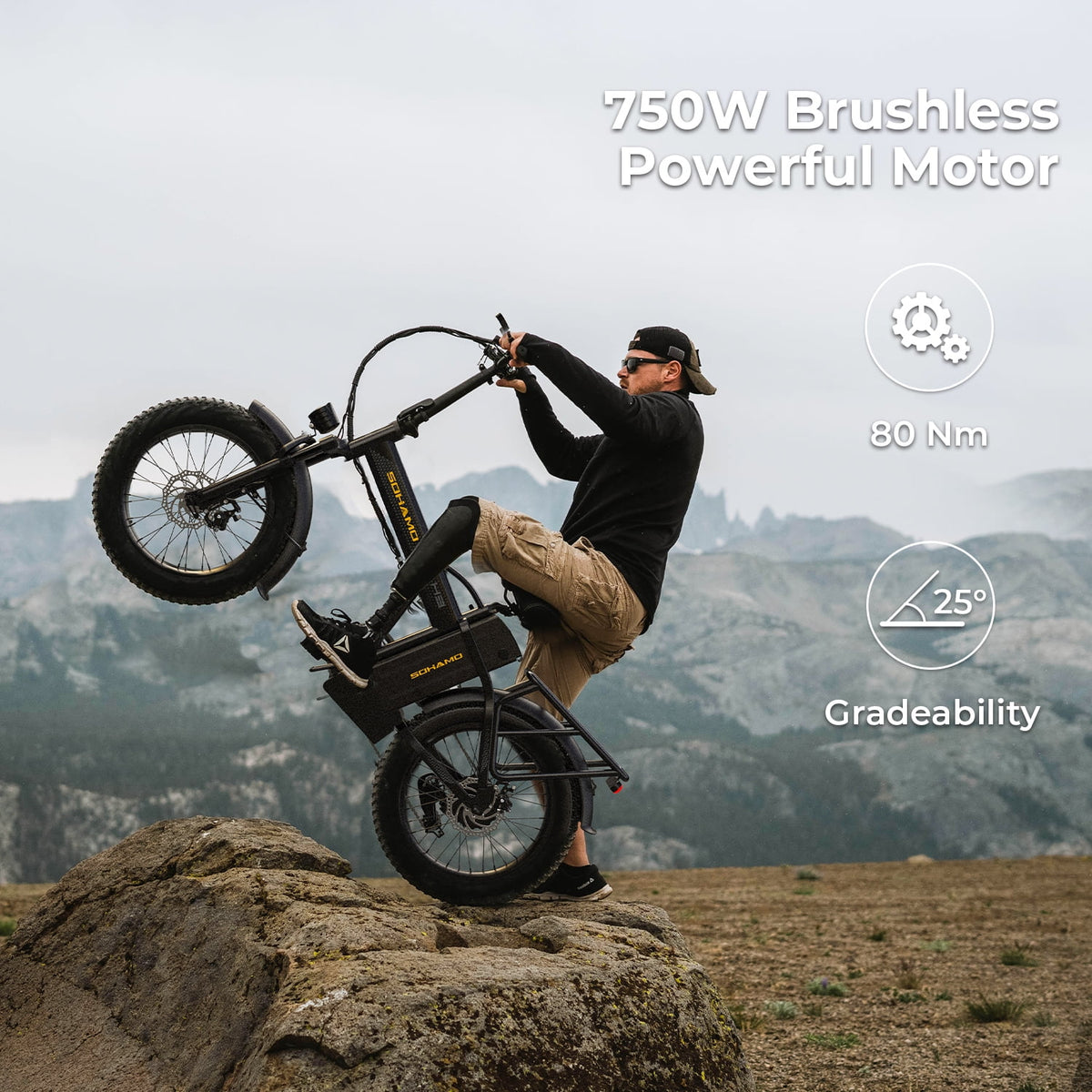 20 Fat Tire Folding Electric Bike 750W 48V 15Ah M8339