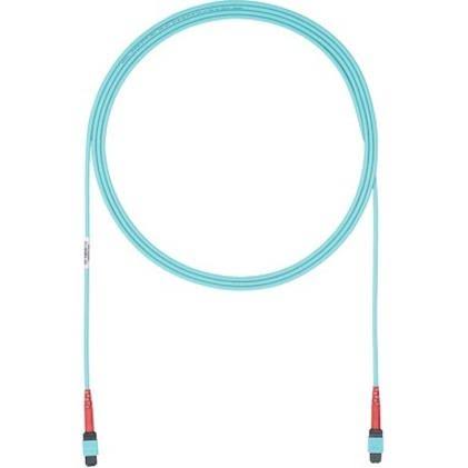 Fiber Optic Network Cable 44 ft S4210