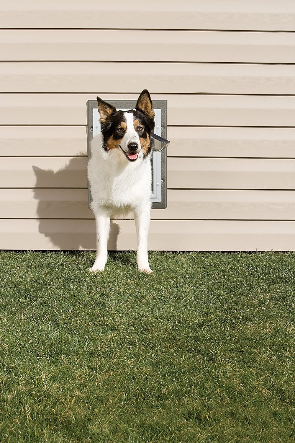 Aluminum Pet Door with Telescoping Tunnel, Medium C64236