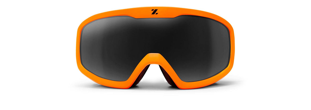 Ski & Snowboard Goggles E110