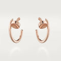 Earrings G3305