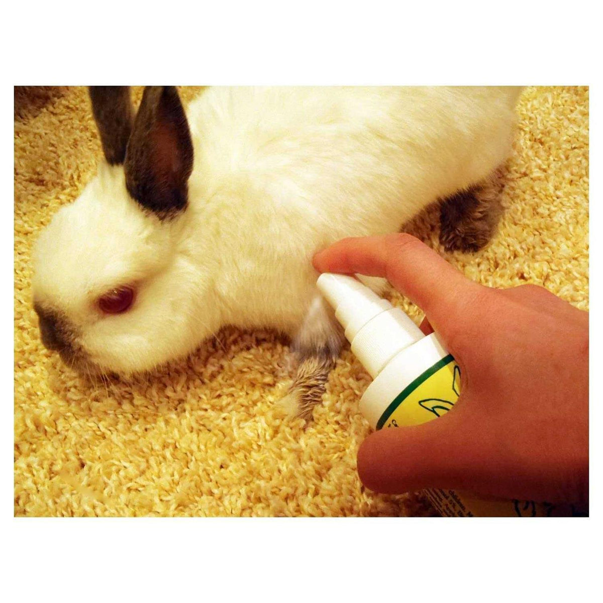 Bitter Apple Dogs Spray A679