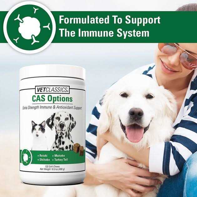 Pet Supplies I344965