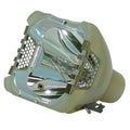 Projector Replacement Lamp with Housing I449346