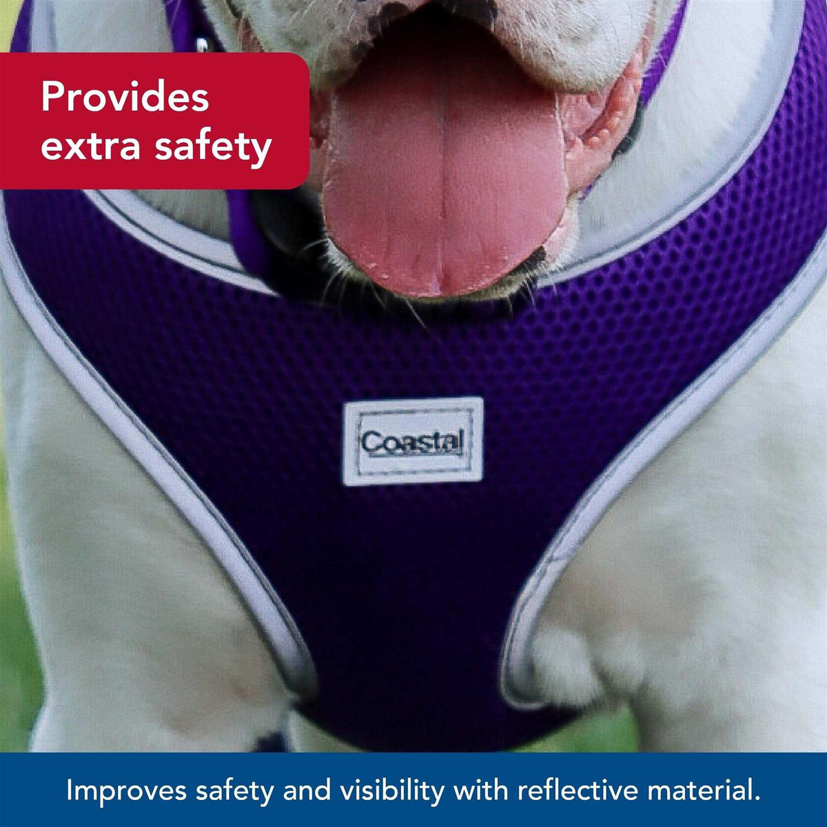 Adjustable Dog Harness L557