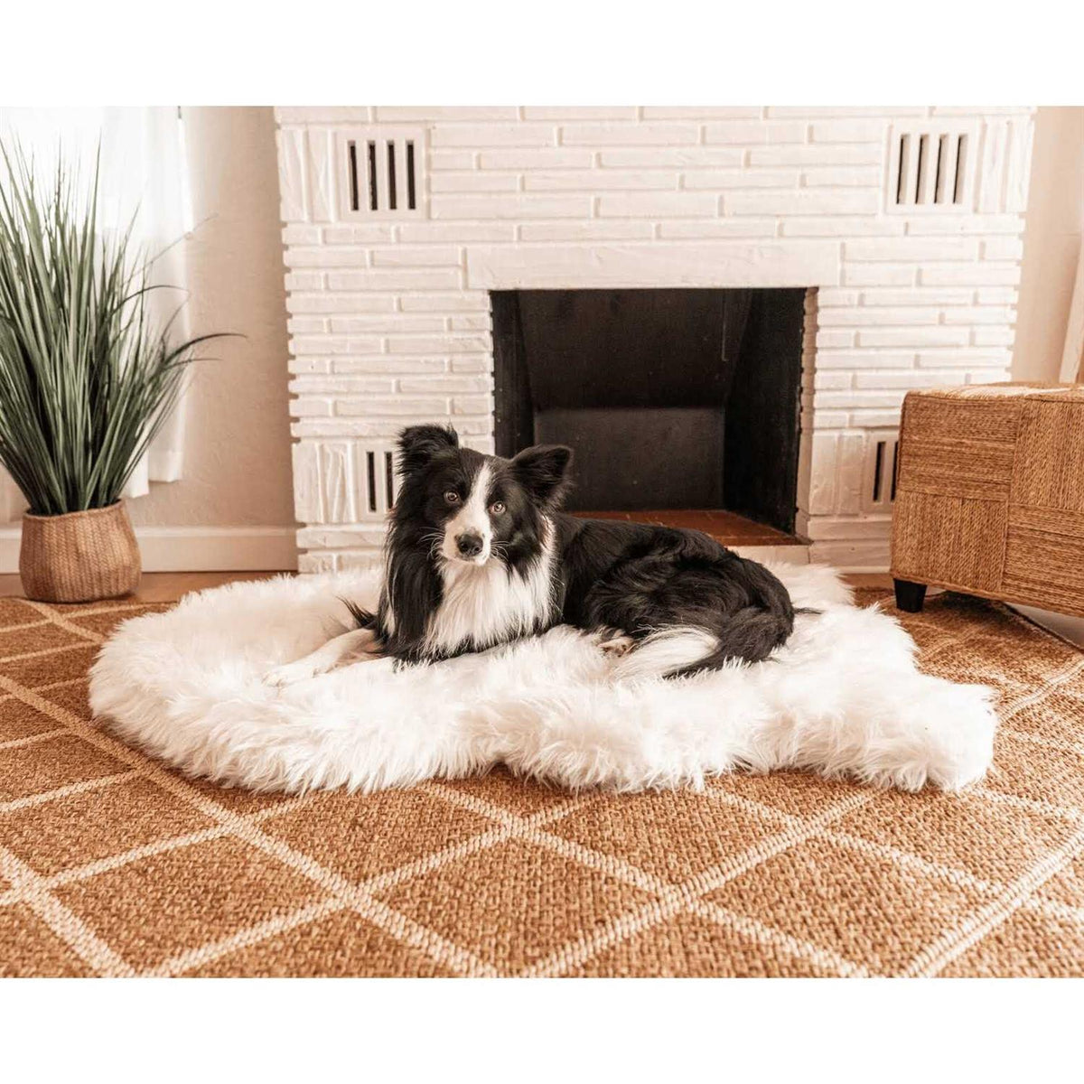 Faux Fur Orthopedic Dog Bed F26921