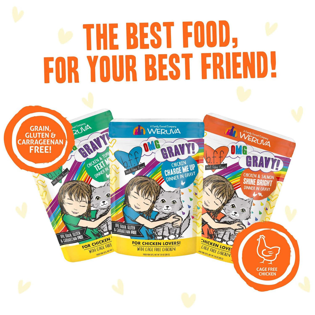Wet Cat Food E50992
