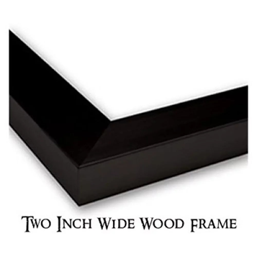 Black Modern Framed Art Print F30599
