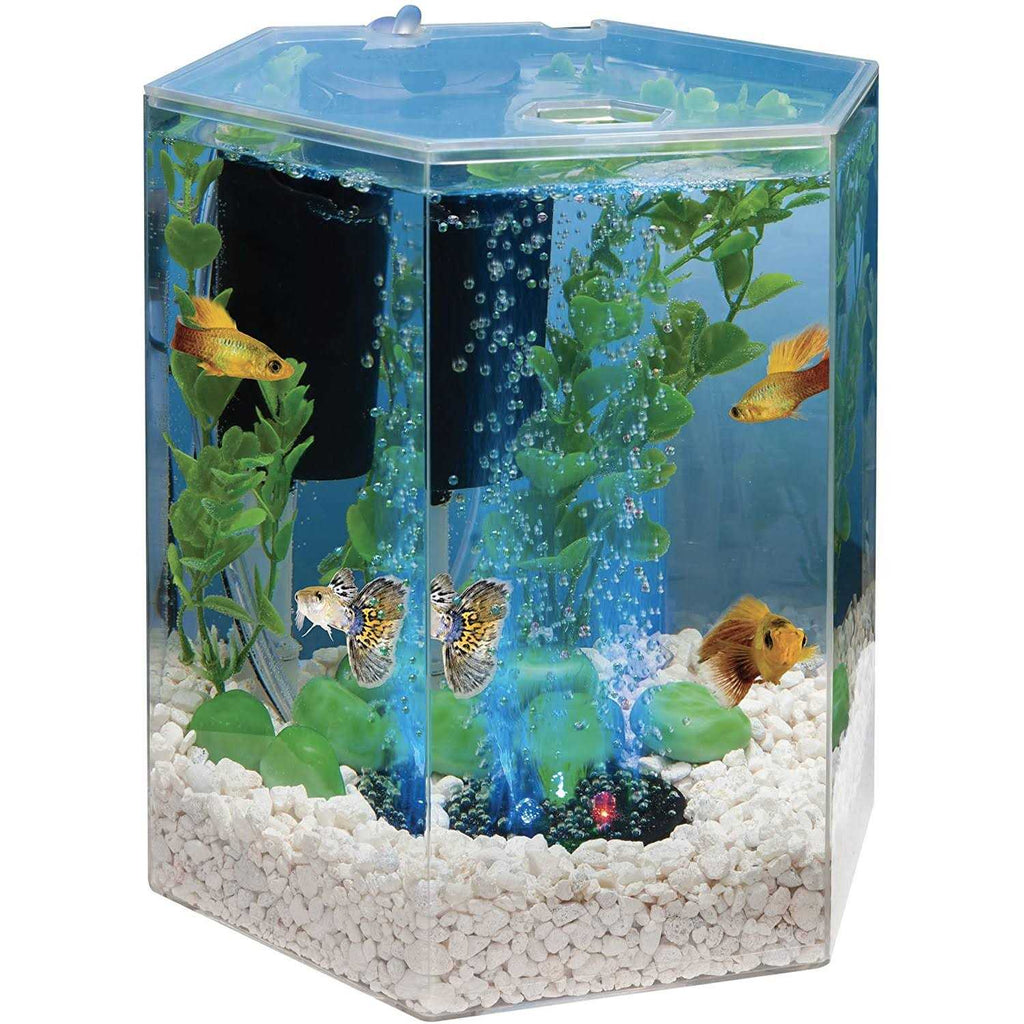 Pet Supplies N231455