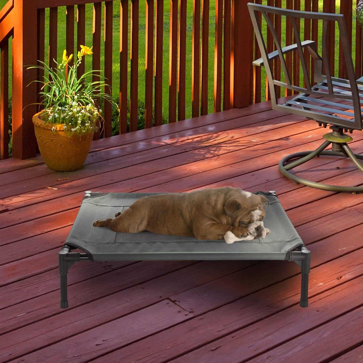 Cot-Style Elevated Pet Bed L74362