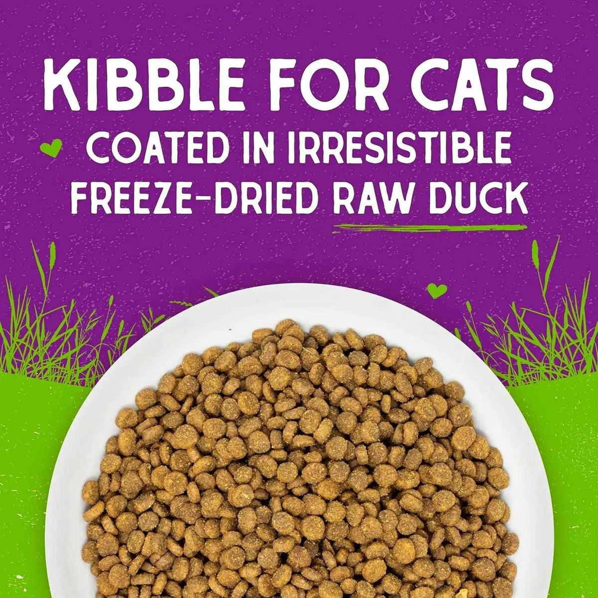 Cage Free Recipe Dry Cat Food P692
