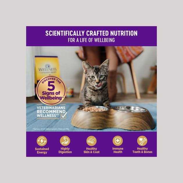 Natural Grain Free Gravy Cat Food Pouch S164952