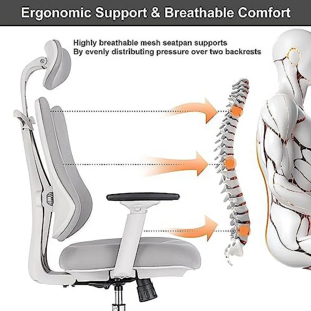 Ergonomic Office Chair with Lumbar Support Y3575