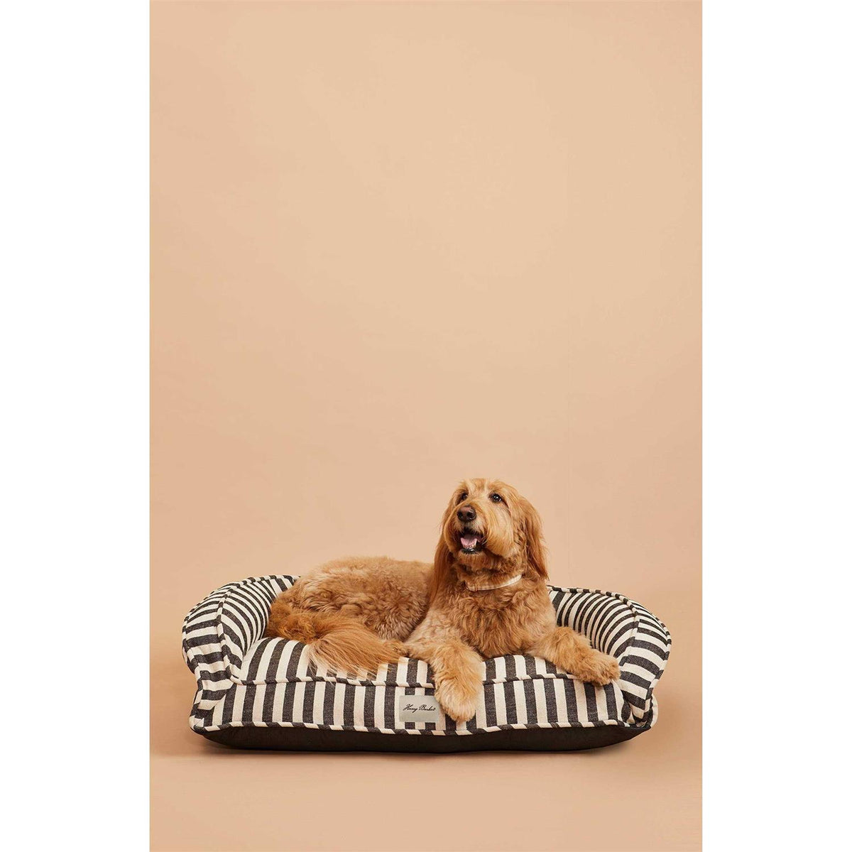 Buffalo Check Lounger Y39769