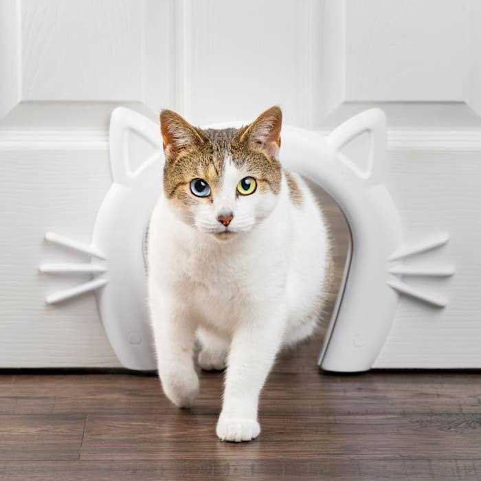 Cat Door Cat Corridor for Interior Doors Q191