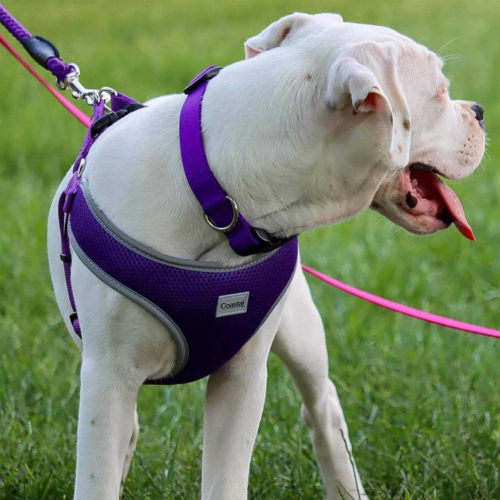 Adjustable Dog Harness L557