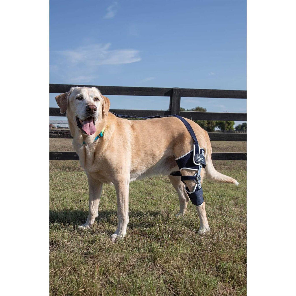 Adjustable Hinged Dog Knee Brace J24303