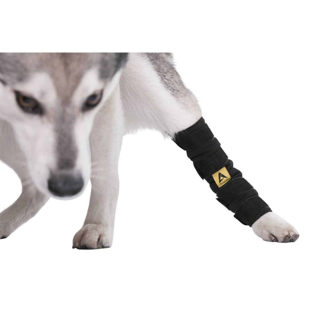 Dog Hock Brace Rear Leg Joint Wrap Z416