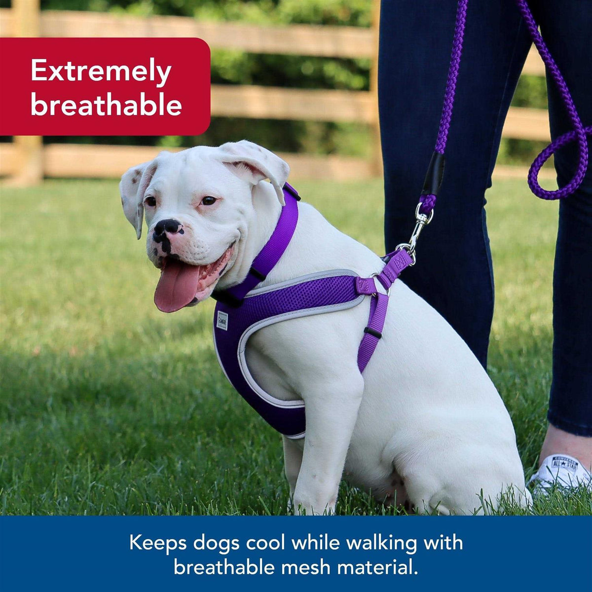 Adjustable Dog Harness L557
