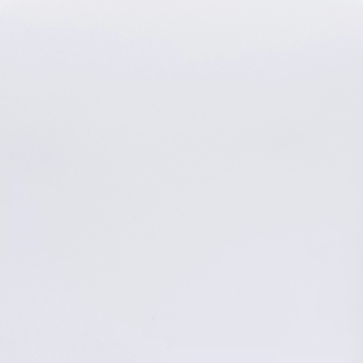 White Dining Chair Set of 4 D41083