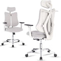 Ergonomic Office Chair with Lumbar Support Y3575
