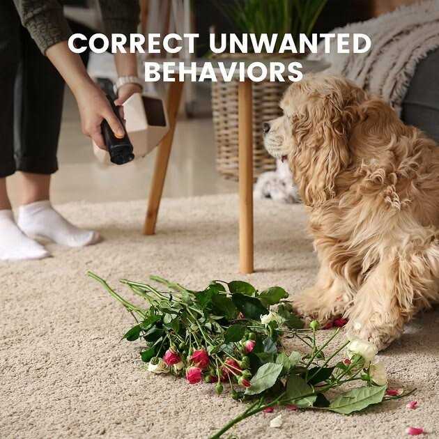 Ultrasonic Dog Bark Deterrent H17721