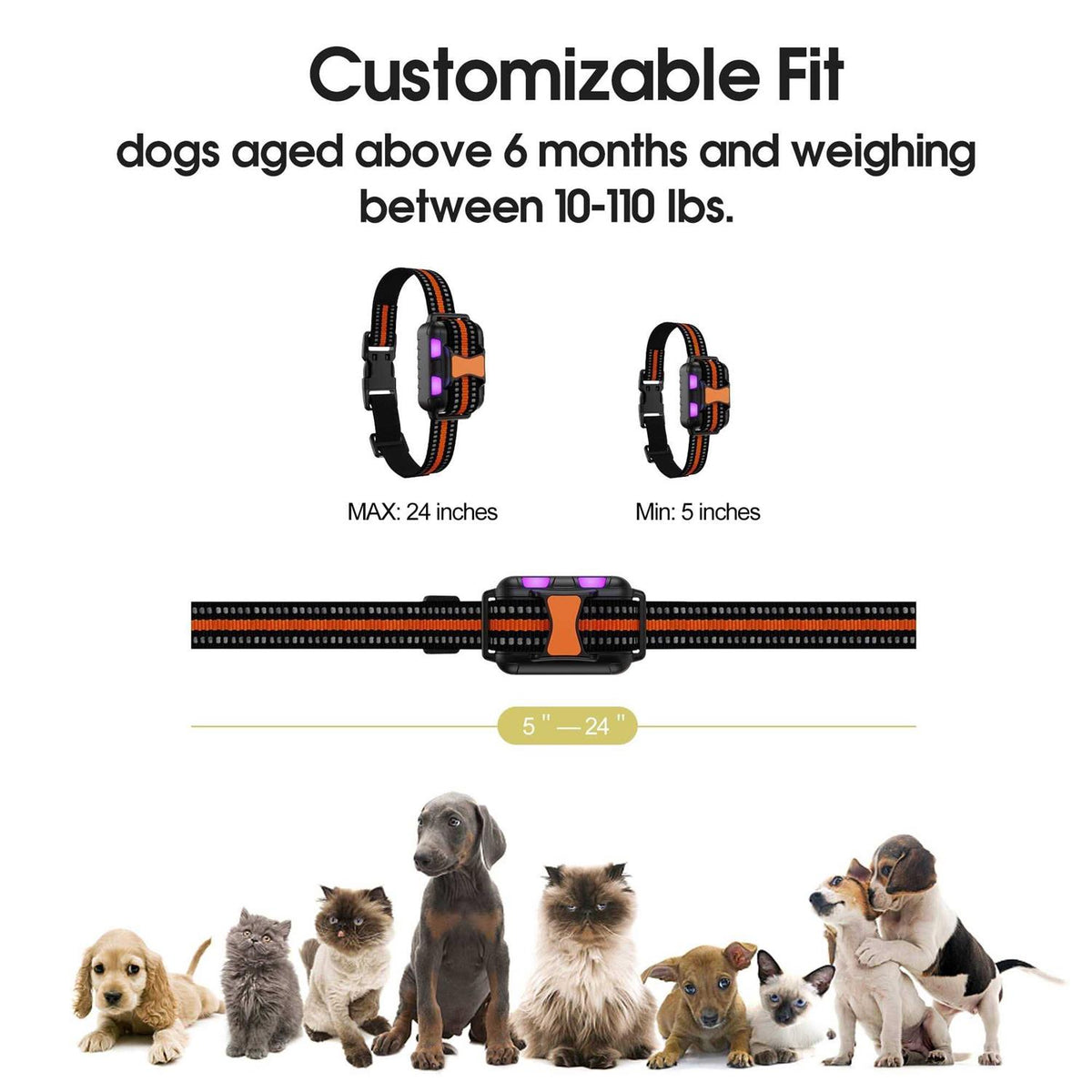 Remote Training Shock Dog Collar I668