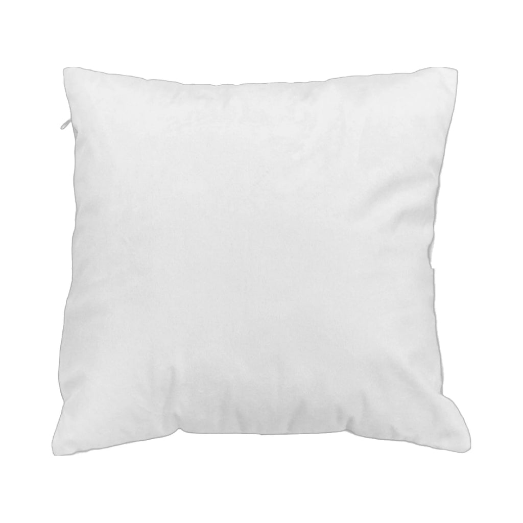 Velvet Cushion Set of 2 Y9744