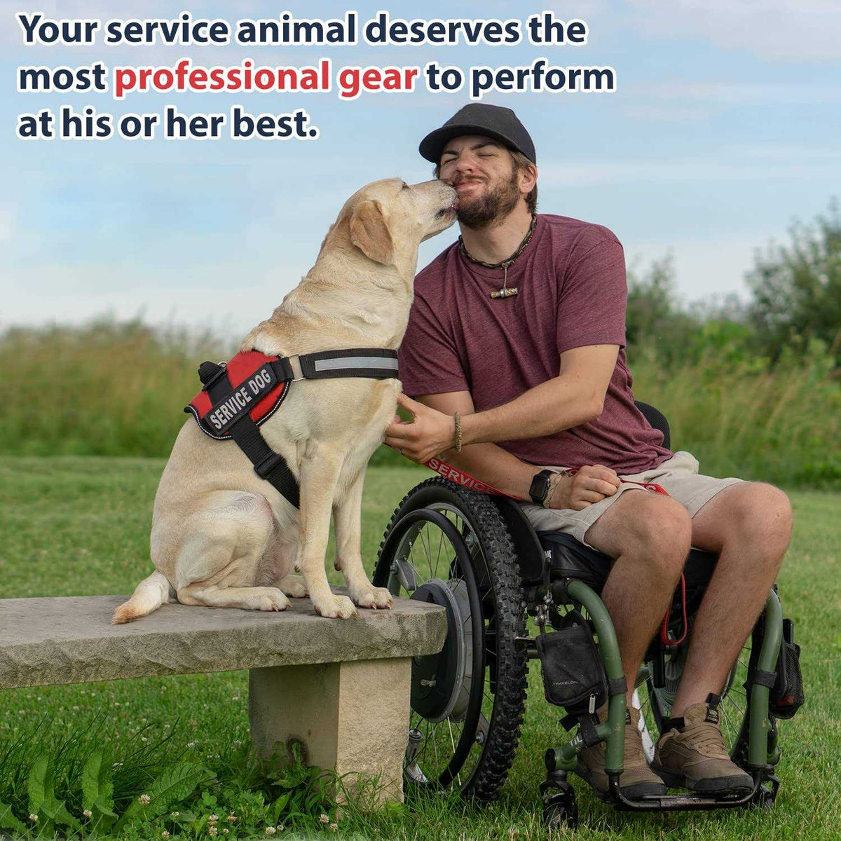 Service Dog Vest with Hook and Loop Straps and Handle Z377059