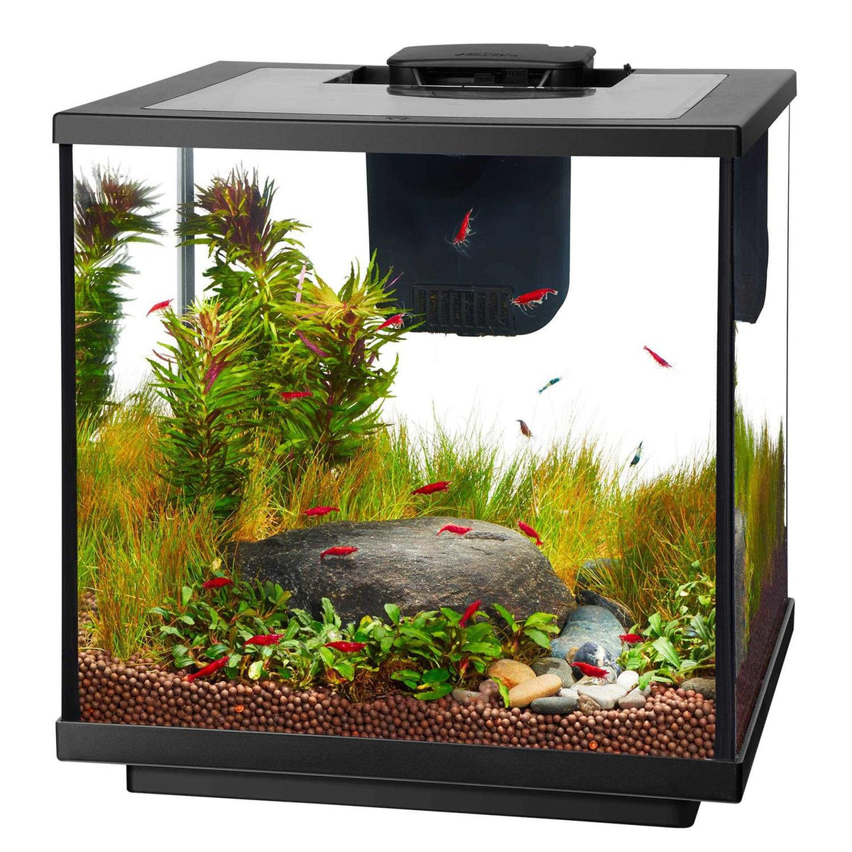 7.5 Gallon LED Aquarium Kit C14992