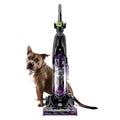 Bagless Upright Vacuum G2538