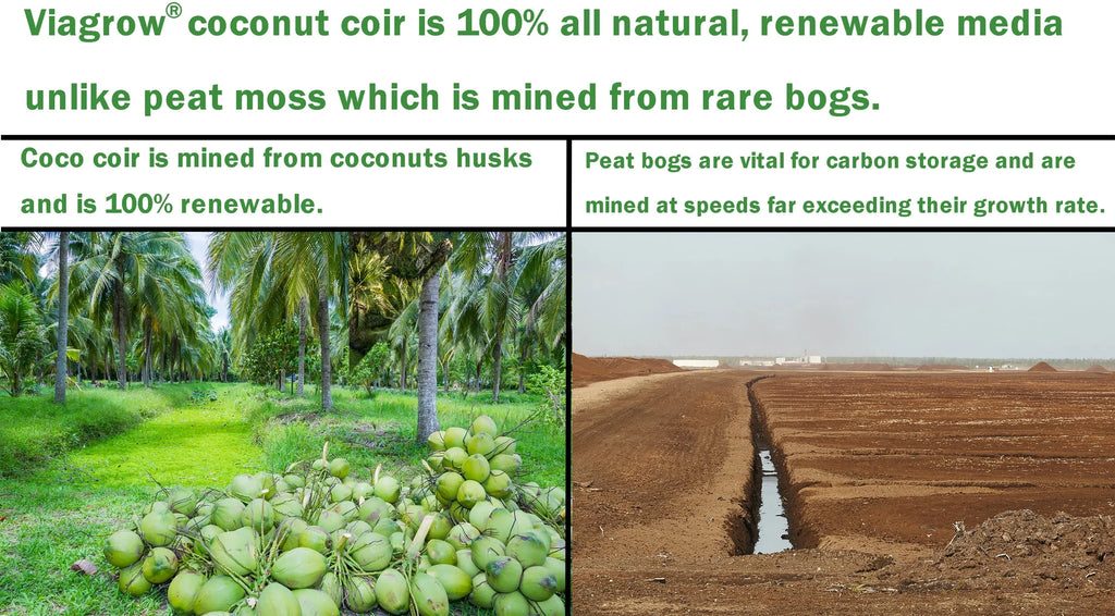 11 lb. Coconut Coir Block W12877