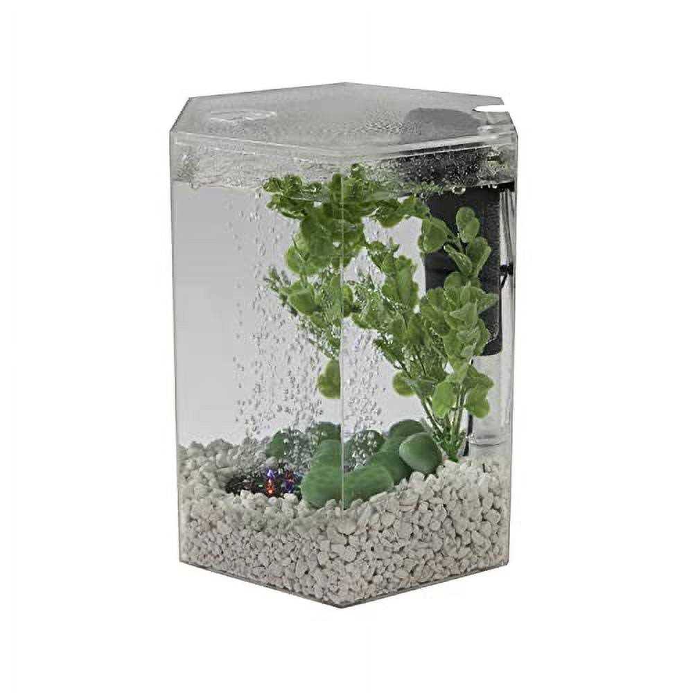 Pet Supplies N231455