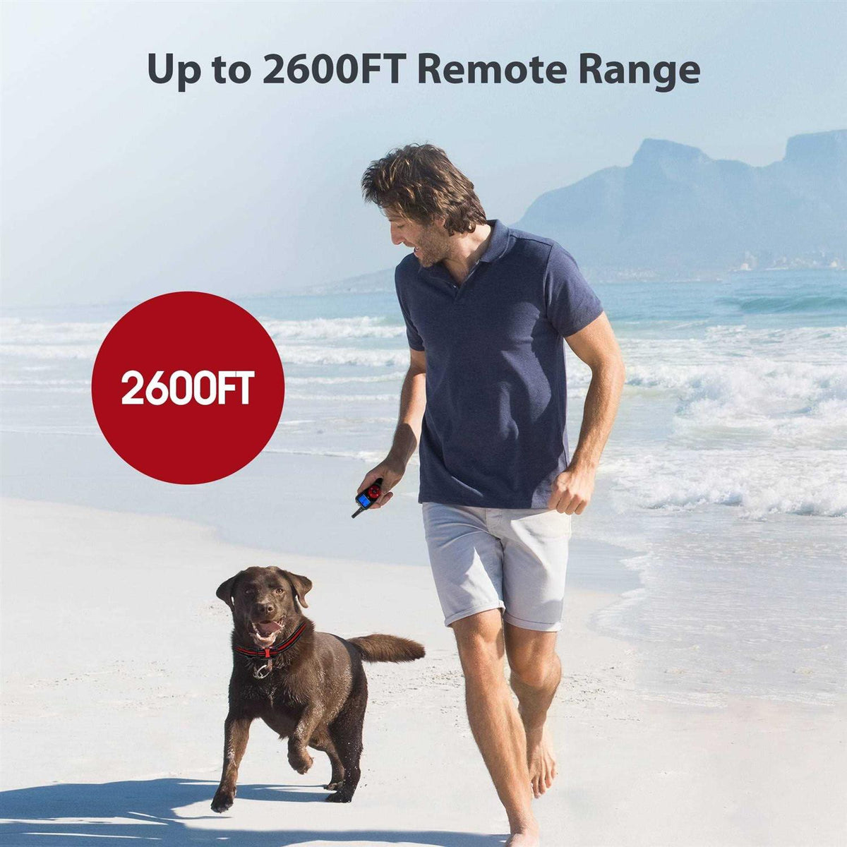 Remote Training Shock Dog Collar I668