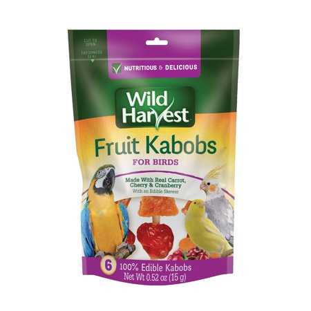 Fruit Kabobs Bird Treats, 6 count K241139